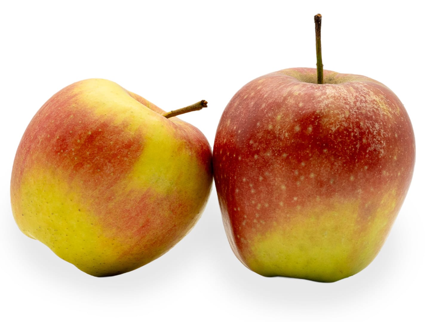 Äpple Royal Gala ca13kg