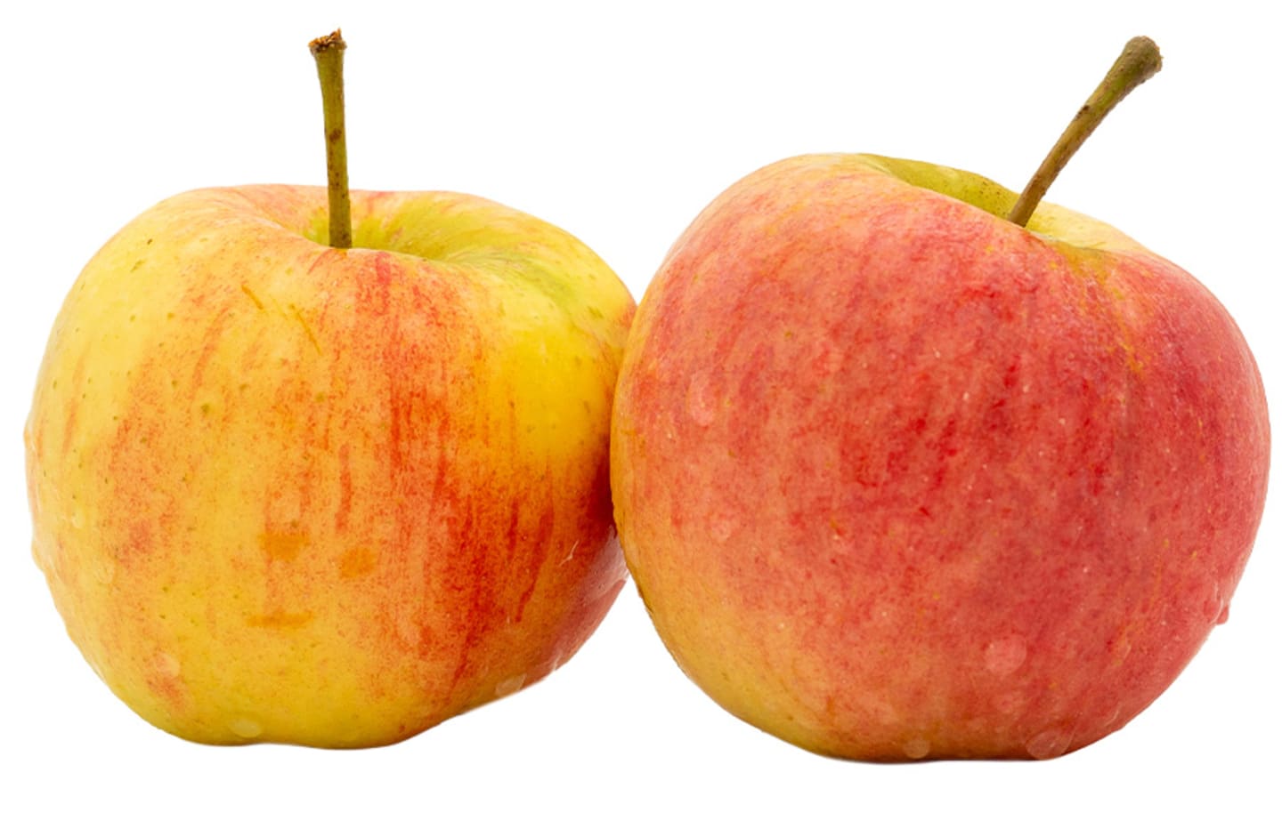 Äpple Sara ca11kg SE
