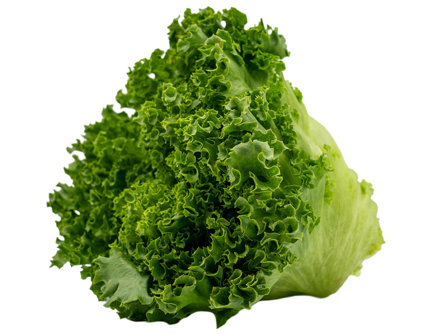 Frillicesallad krisp 9st SE