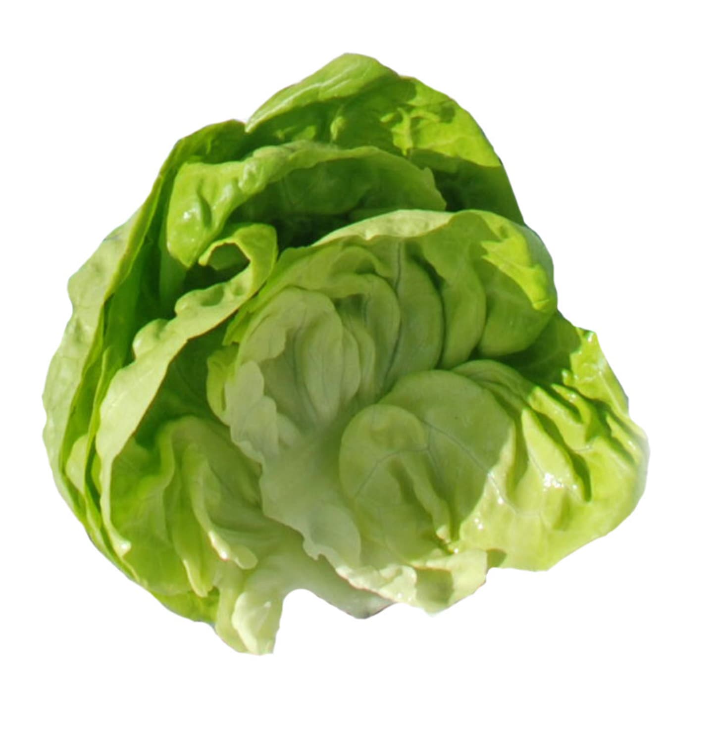 Grönsallad 12st SE