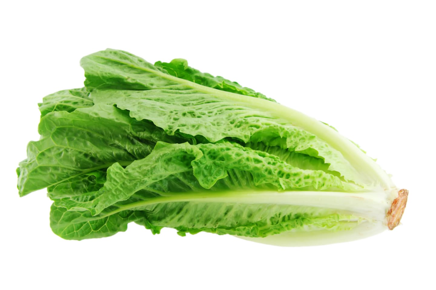 Romansallad 10st SE