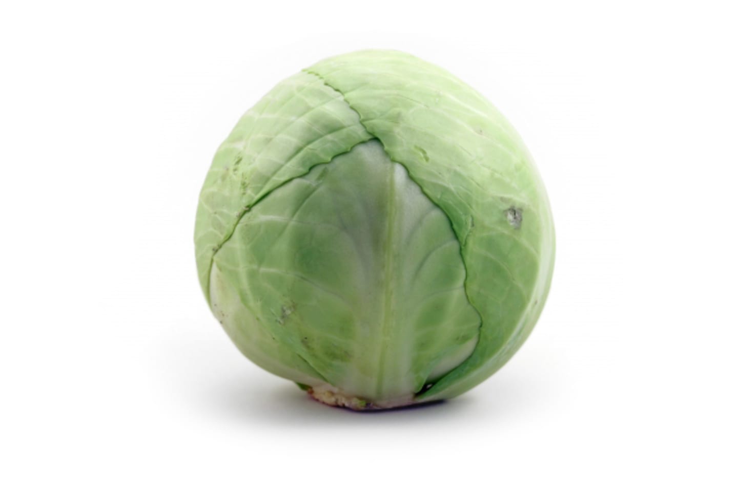 Vitkål 12kg SE