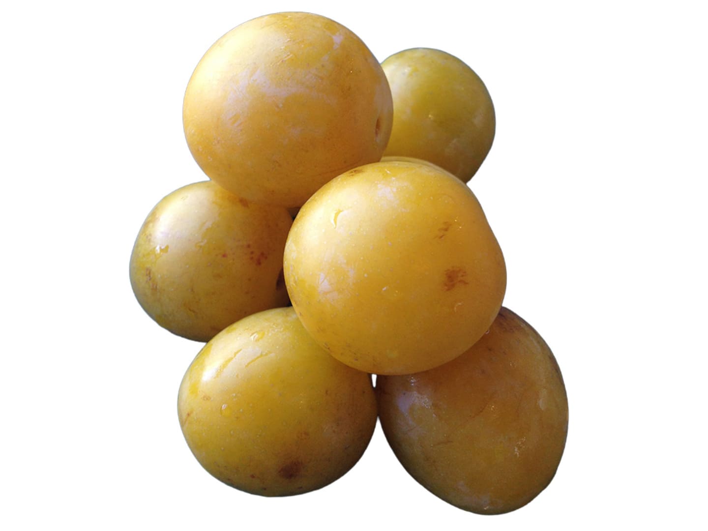 Plommon Mirabelle 5kg - Bild 1 av 1