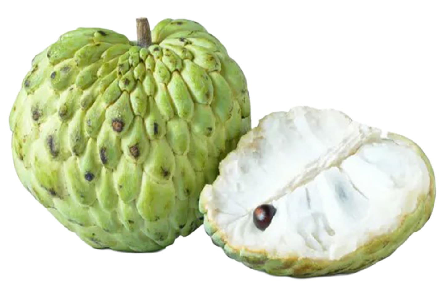 Cherimoya 12st