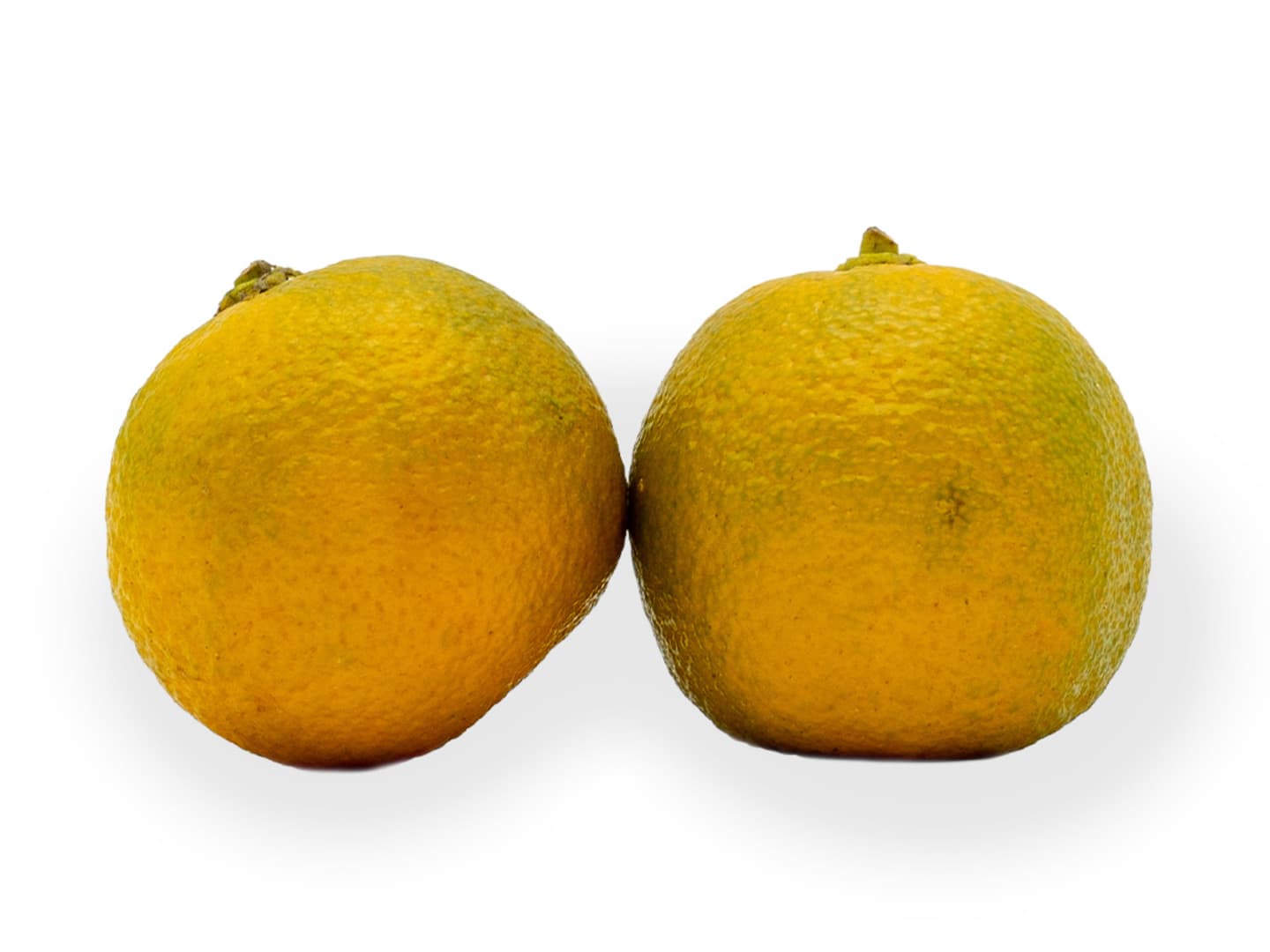 Calamansi citrus 1kg