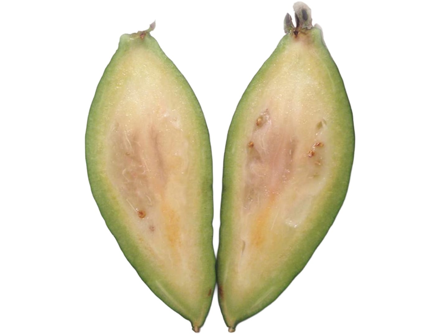 Feijoa 2kg