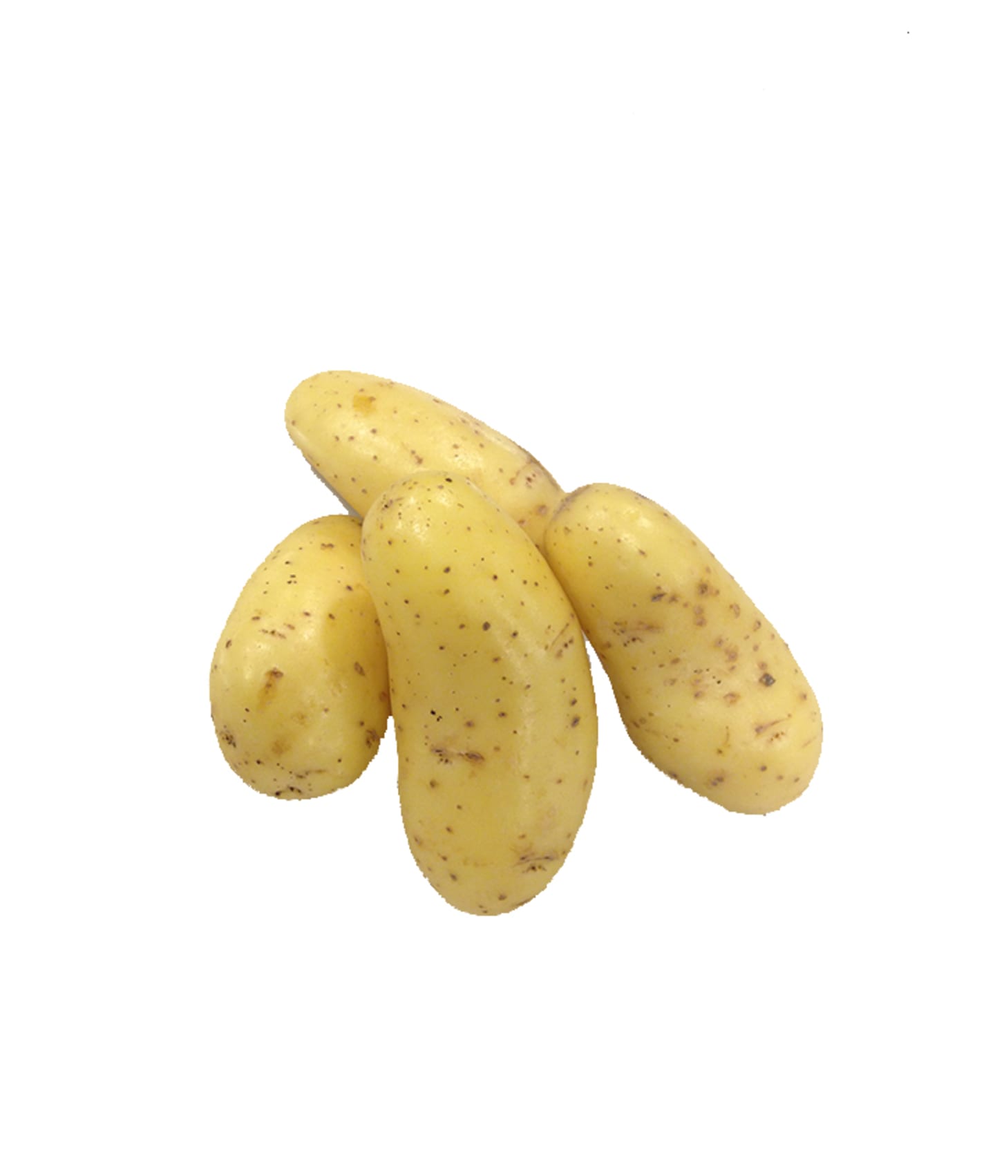 Potatis Tourne Tollby 10kg