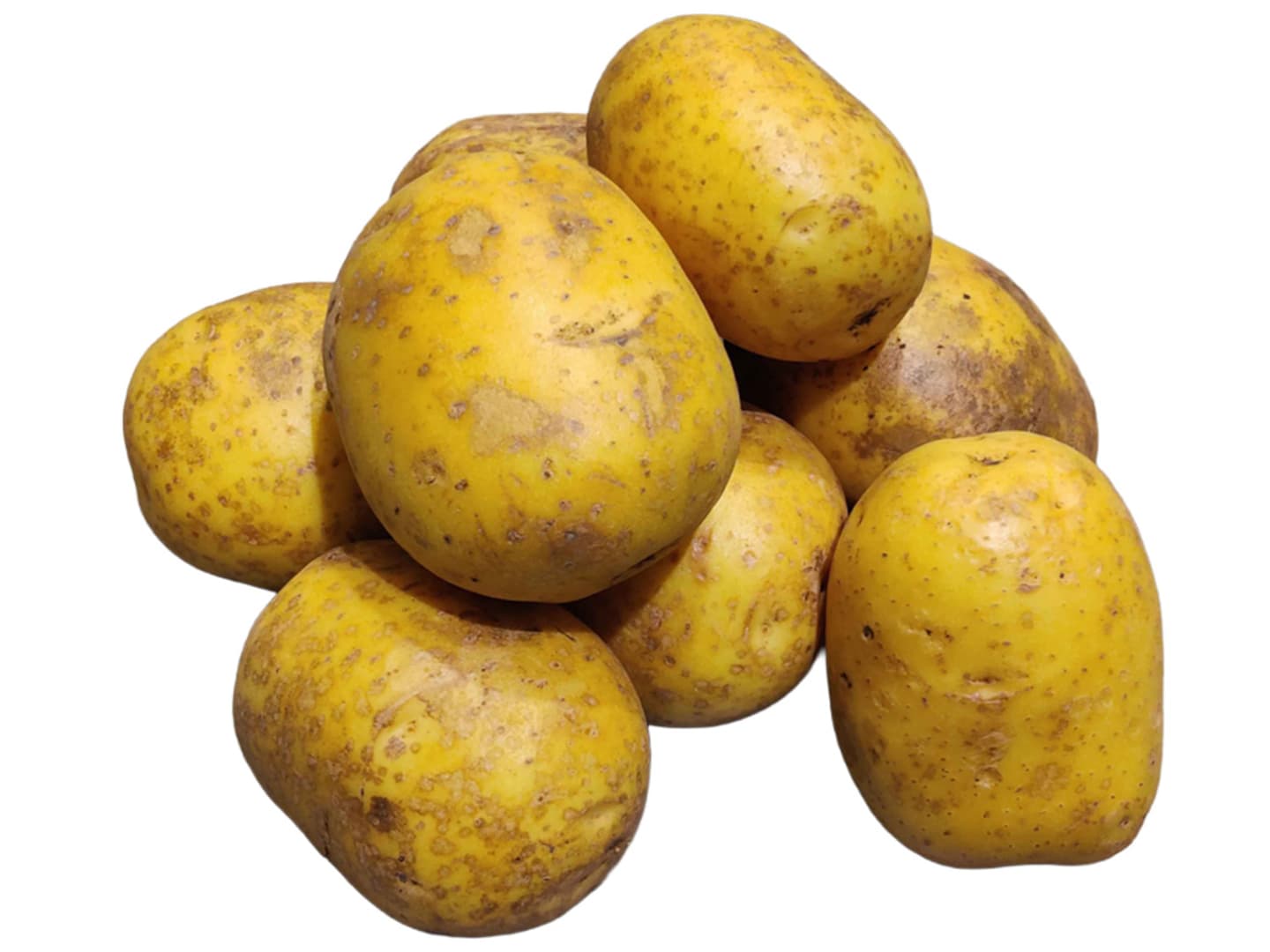 Potatis stor 10kg