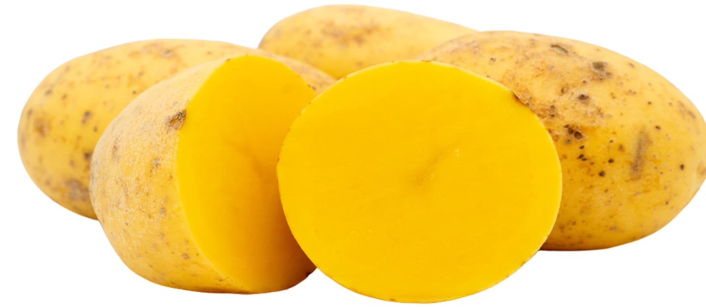 Potatis Aztec gold 10kg