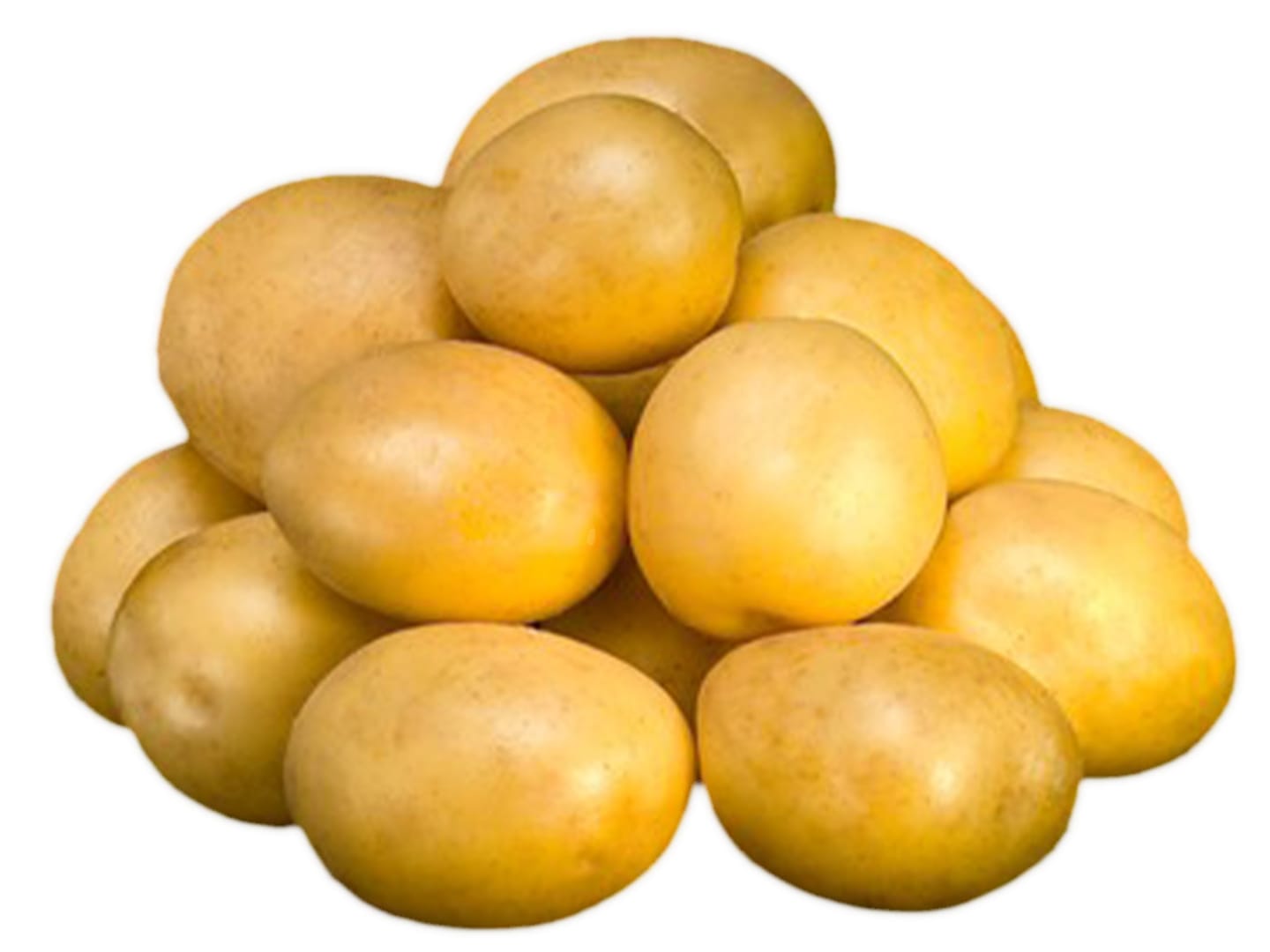 Potatis färsk Bjäre 10kg SE