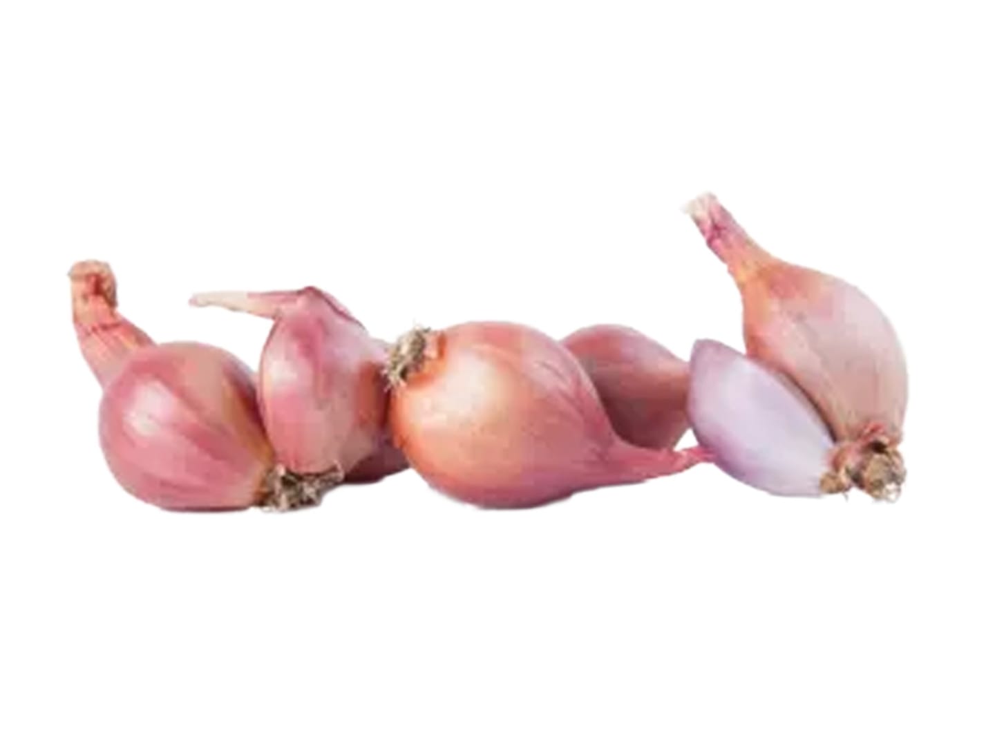 Schalottenlök 5kg