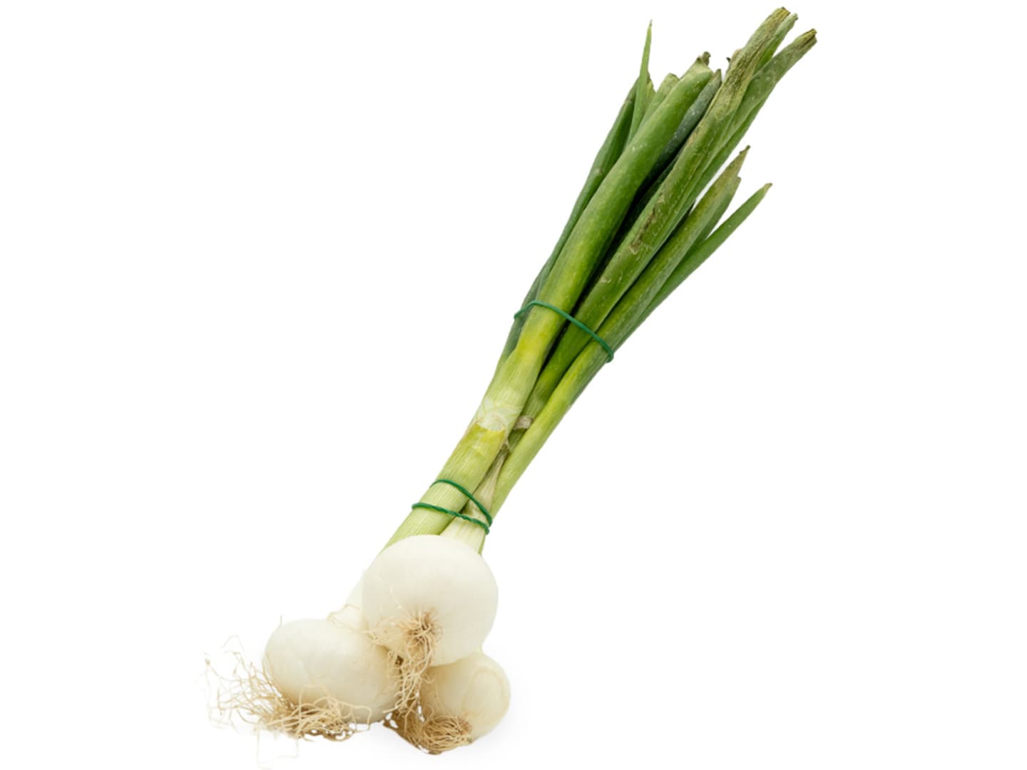 Gul lök färsk i knippe 14knp