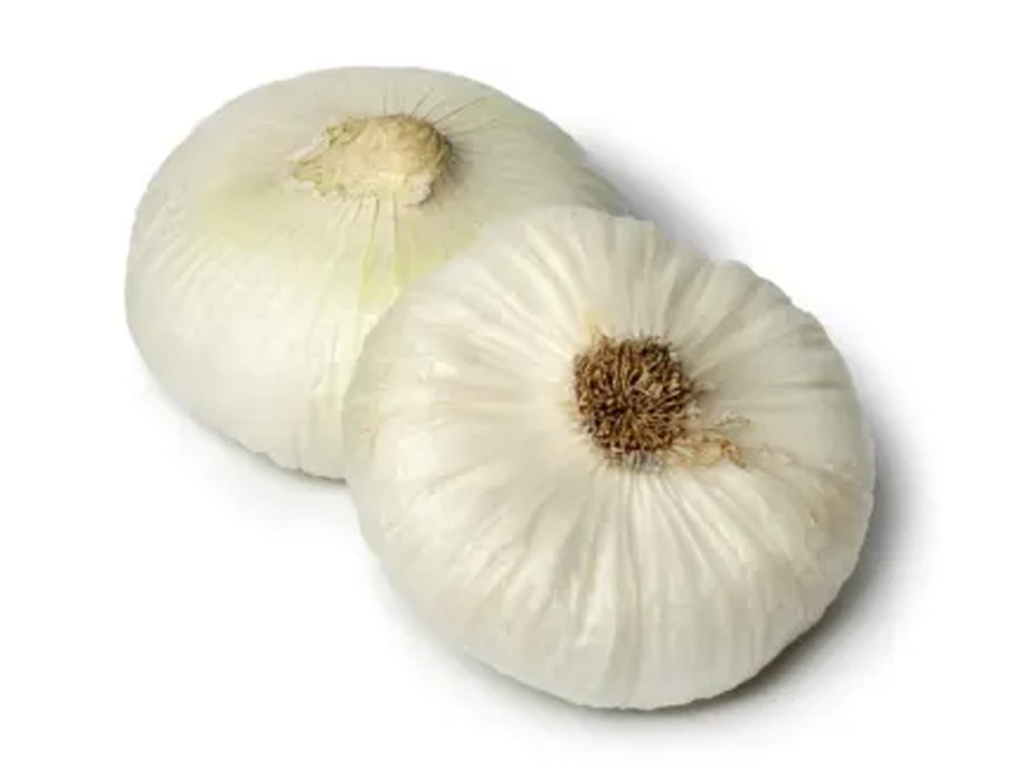 Pärllök Borretane 5kg