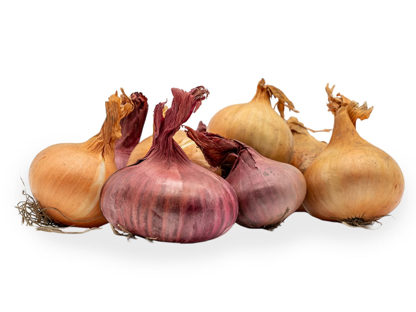 Steklök röd 5kg