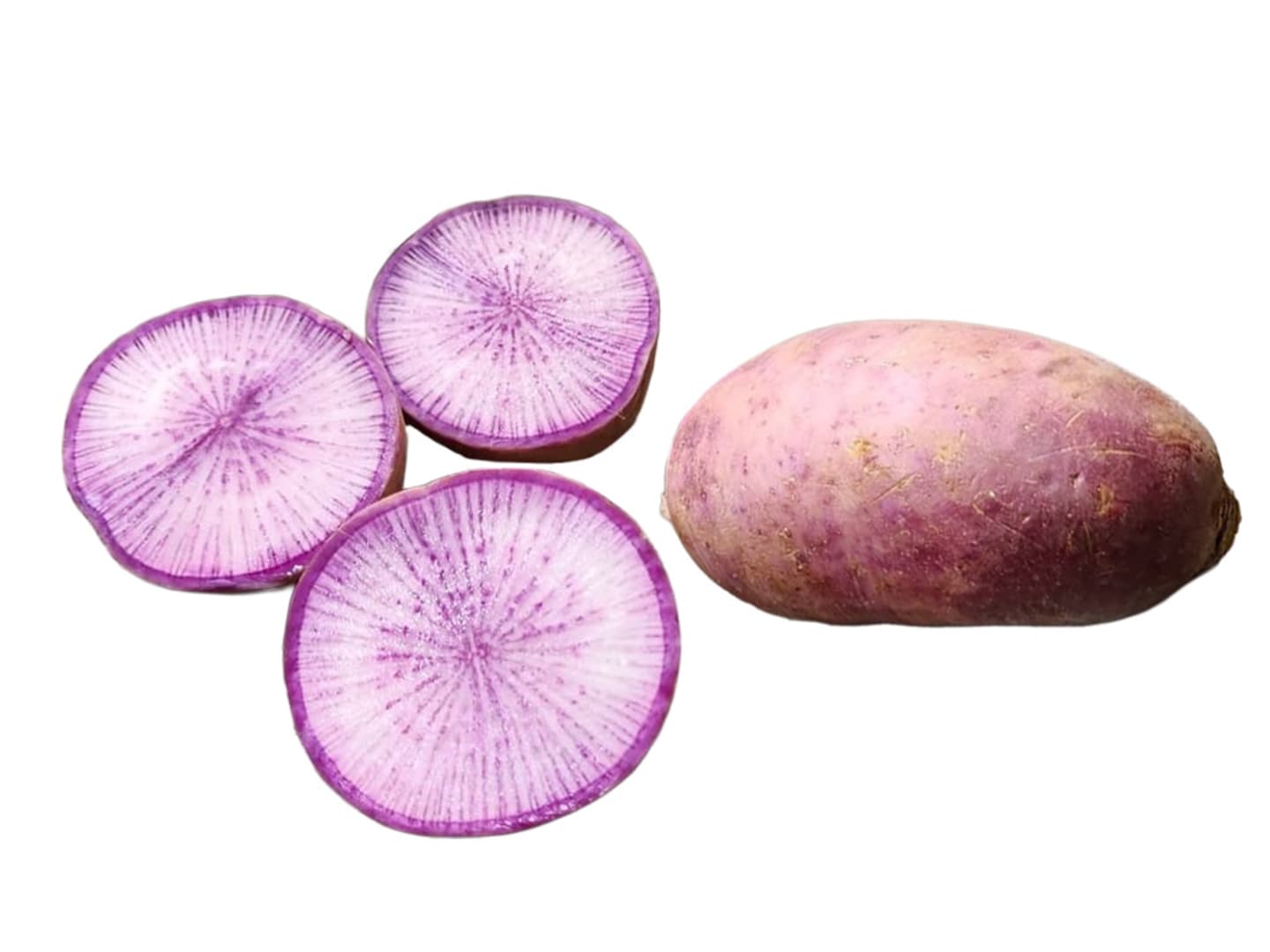 Rättika blå/lila 5kg