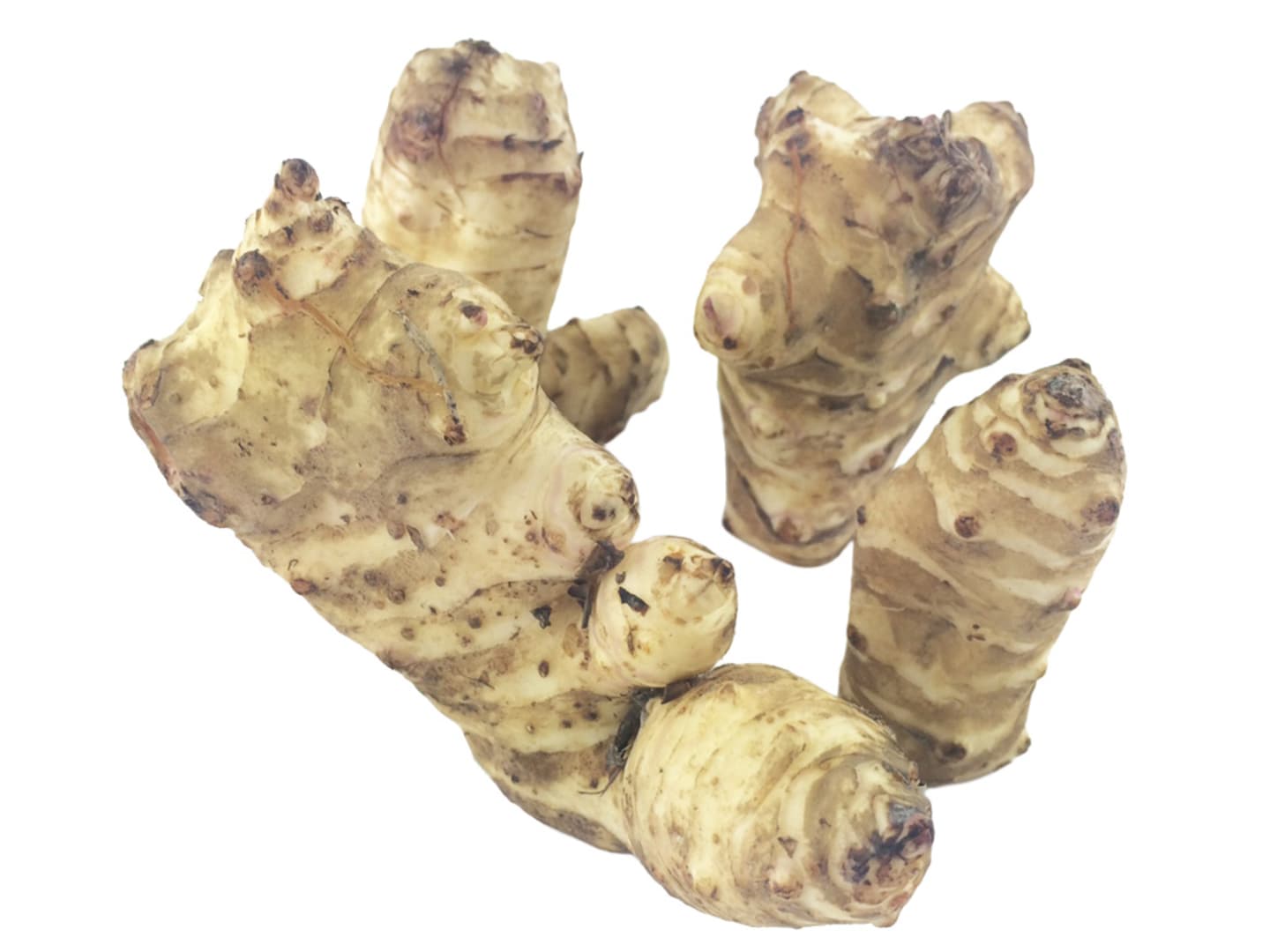 Jordärtskocka 5kg SE