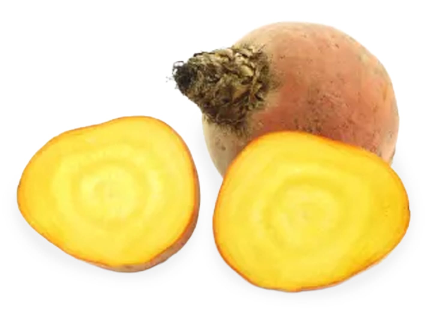 Gulbeta extra små 5-6kg SE