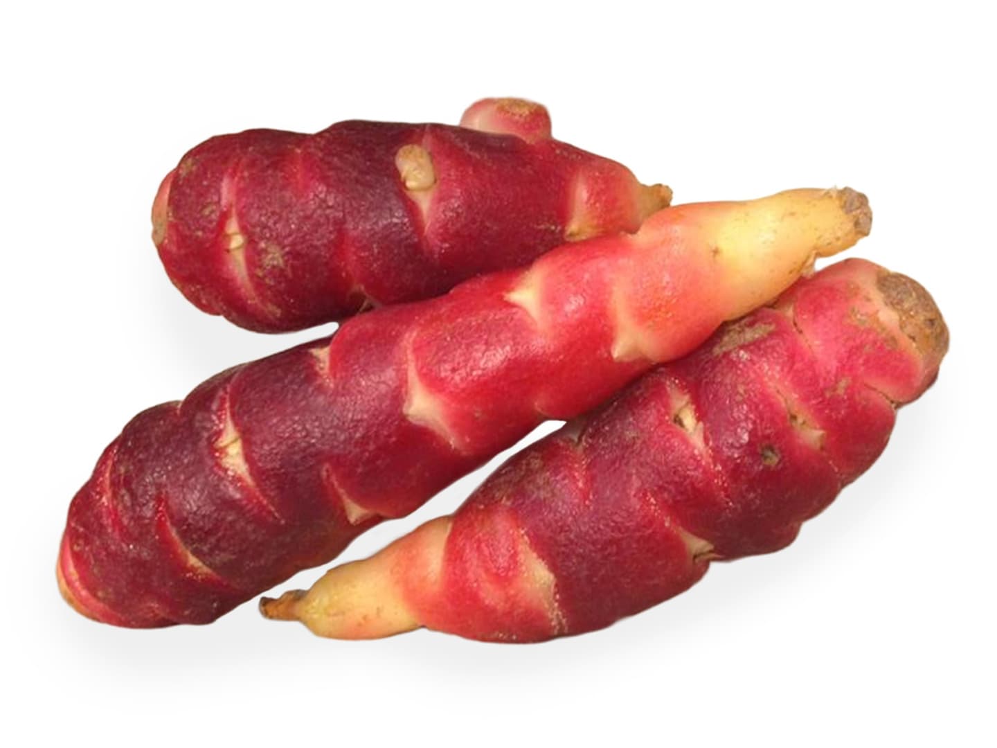 Oca 2-3kg