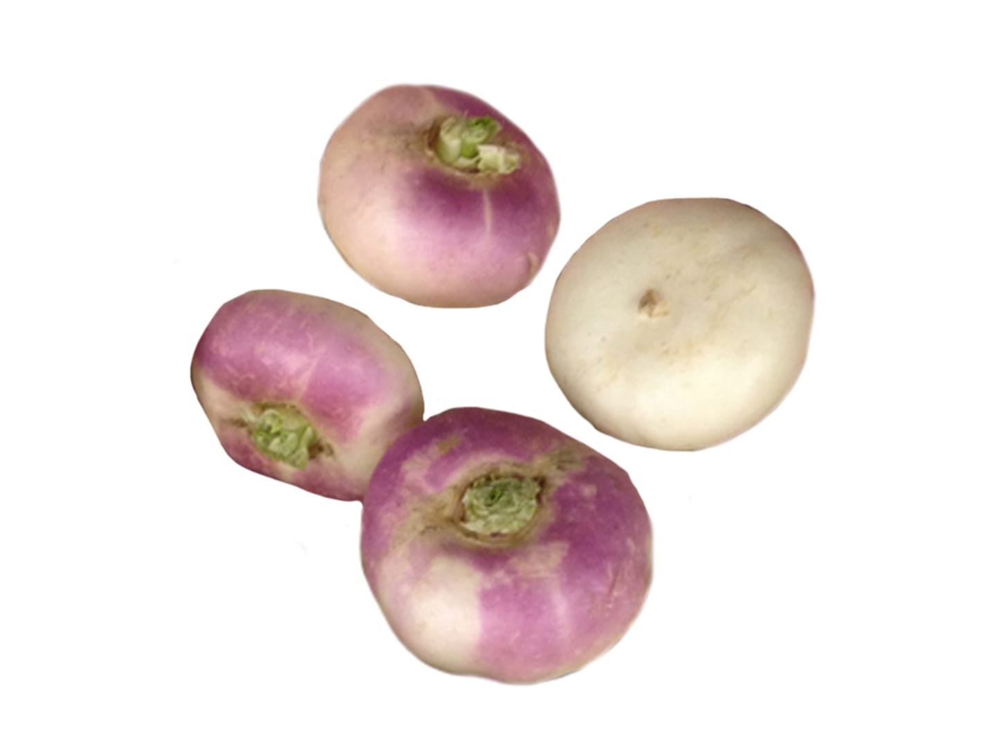 Majrova platt 5kg
