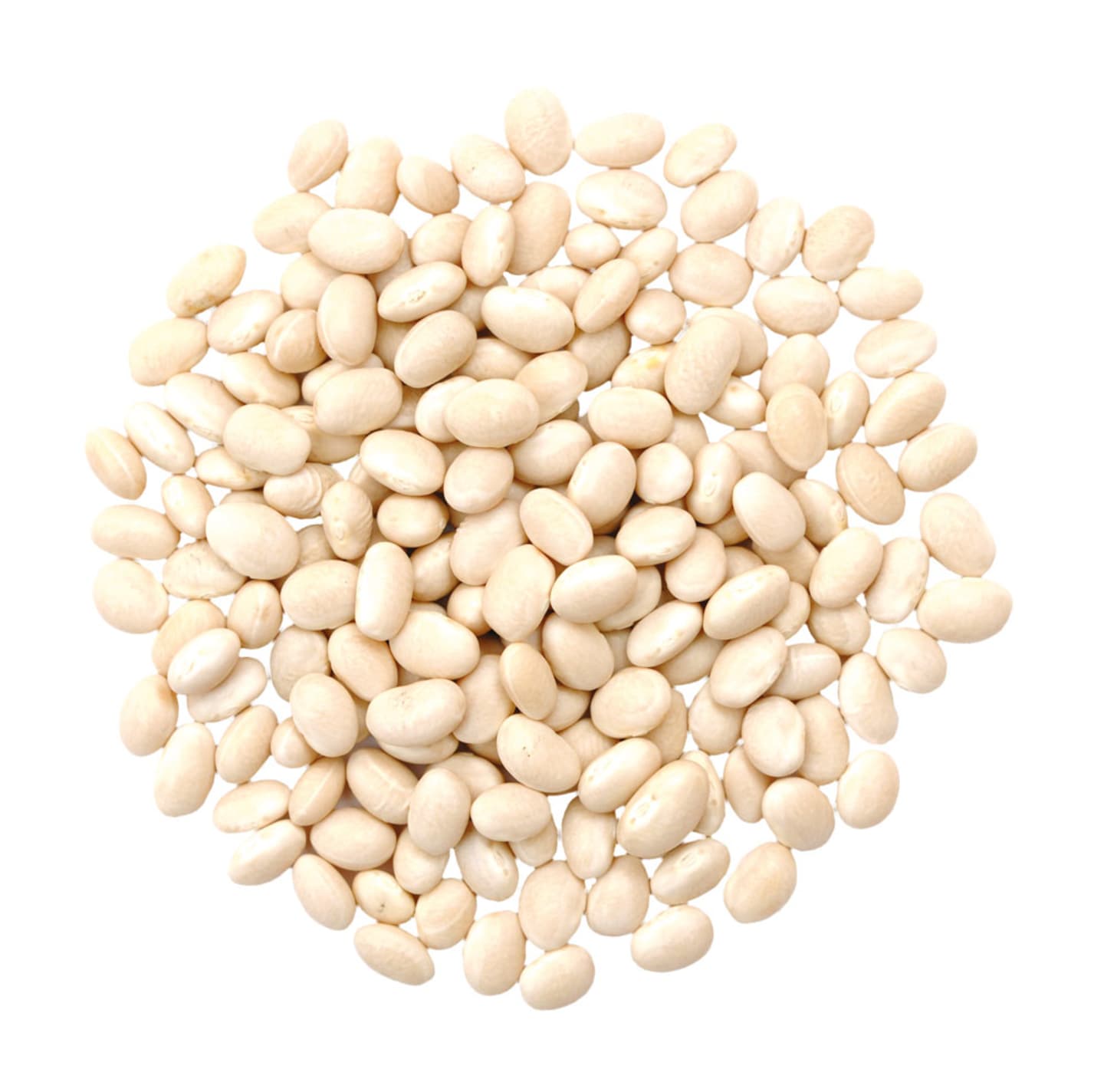 Bönor vita torkade 10kg SE
