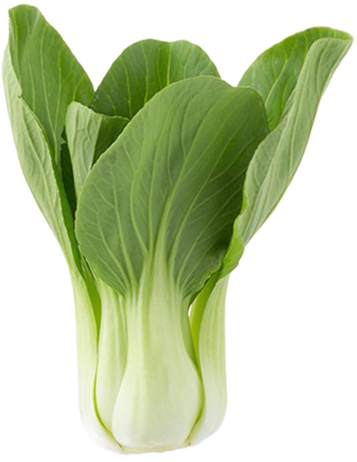 Pak Choi 10st - Bild 1 av 1