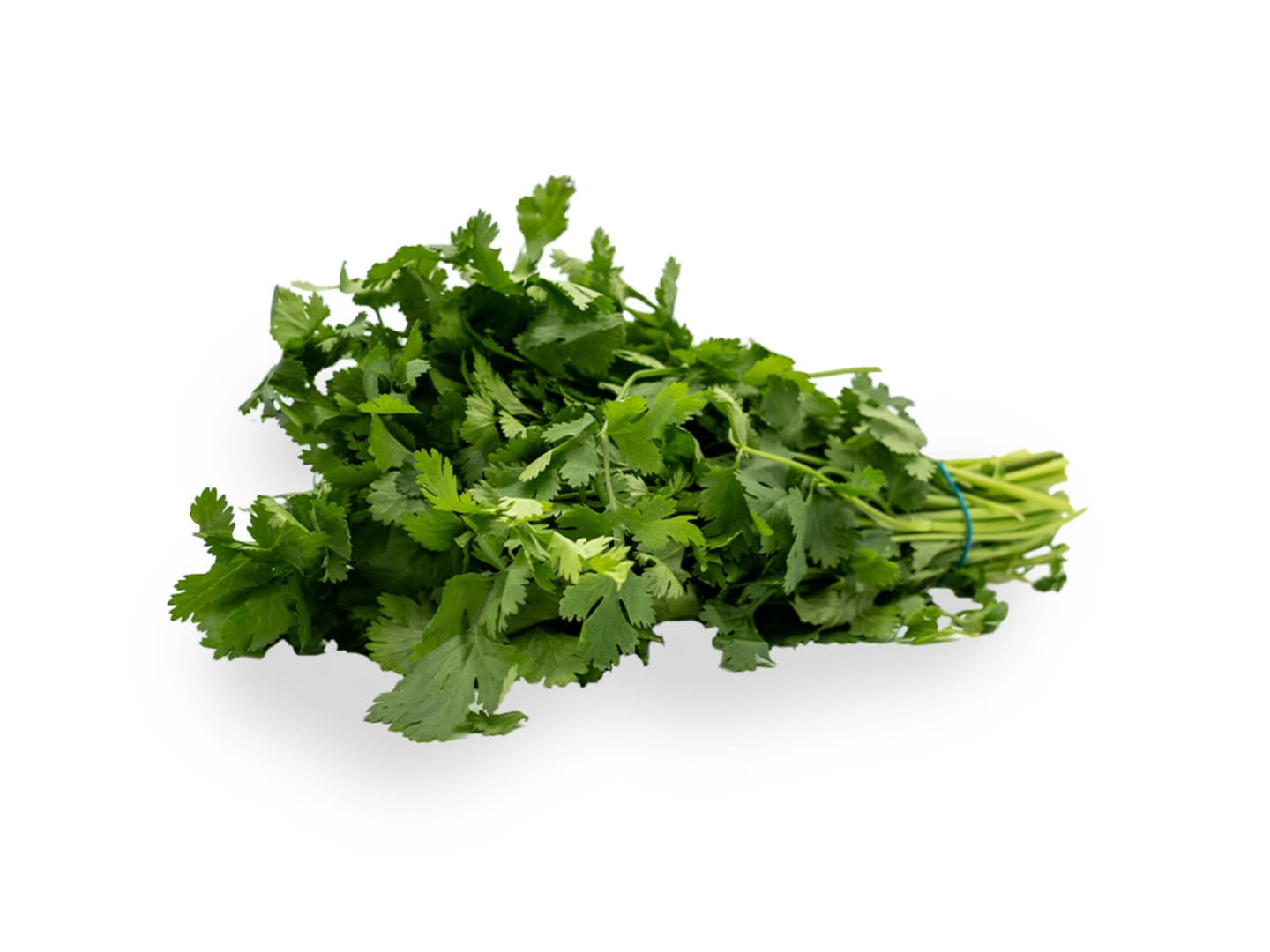 Koriander 1kg