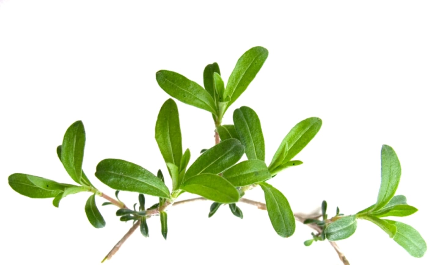 Kyndel lösvikt 1kg