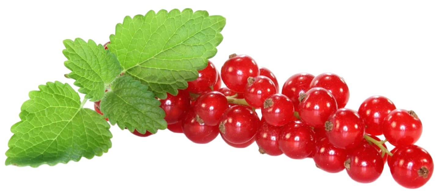 Vinbär röda 125g SE