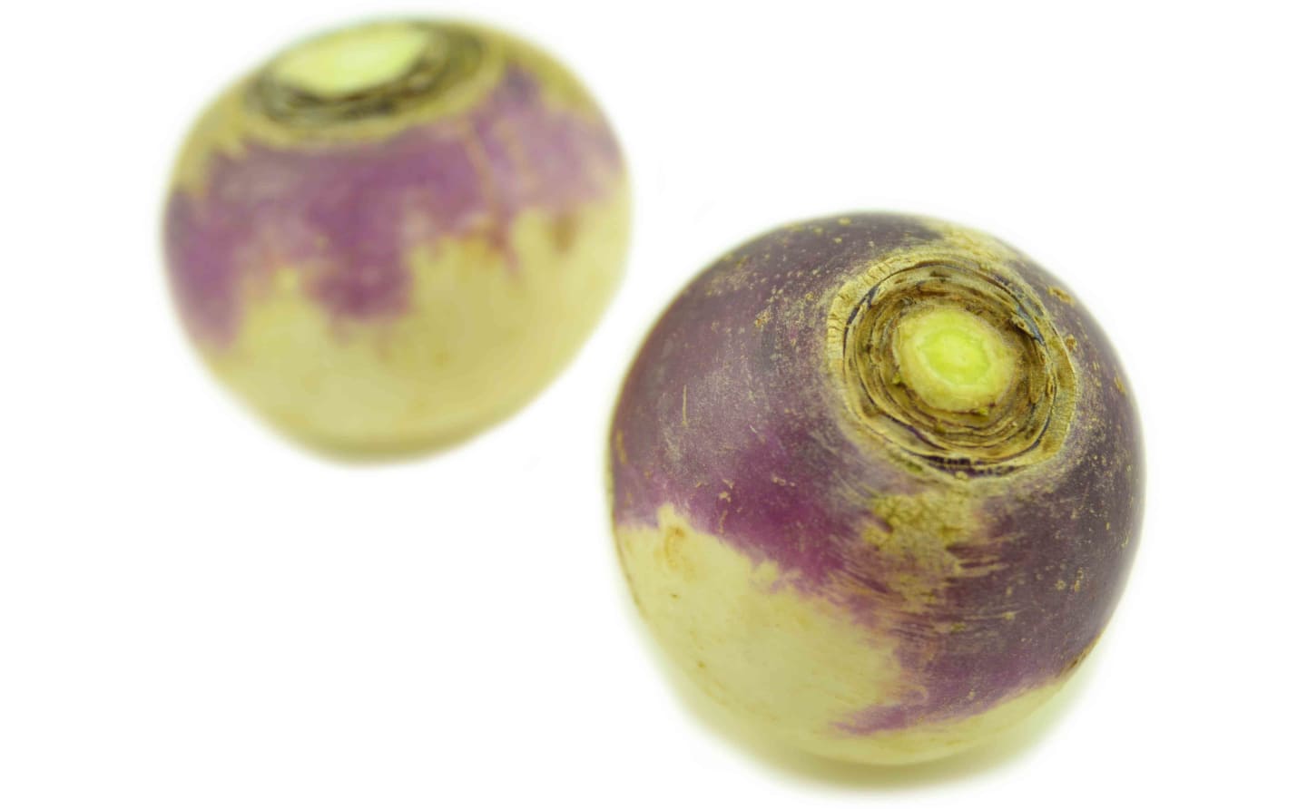 Majrova rund sköljd 1kg