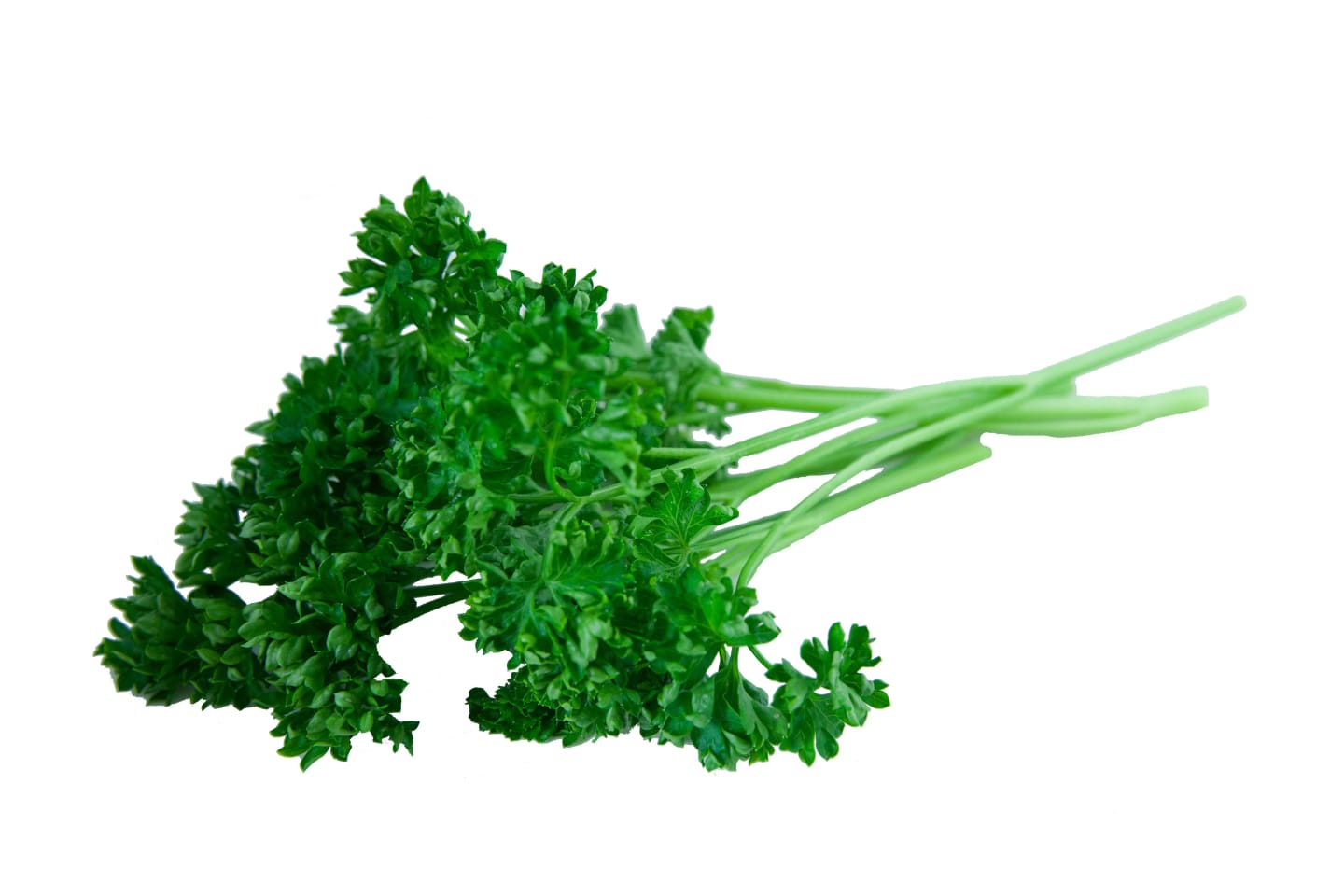 Kruspersilja sköljd 500g