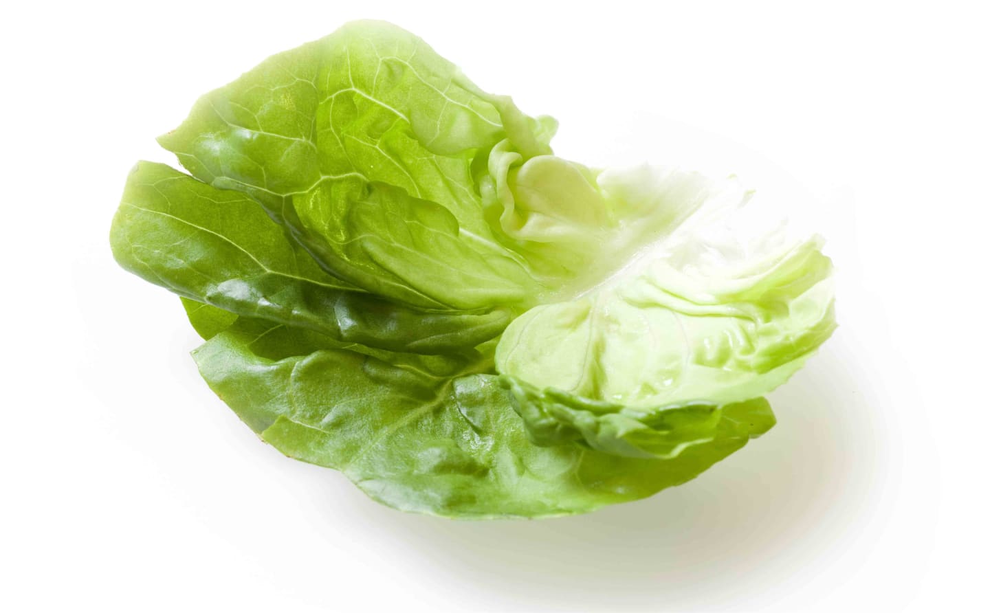 Grönsalladsblad 3kg