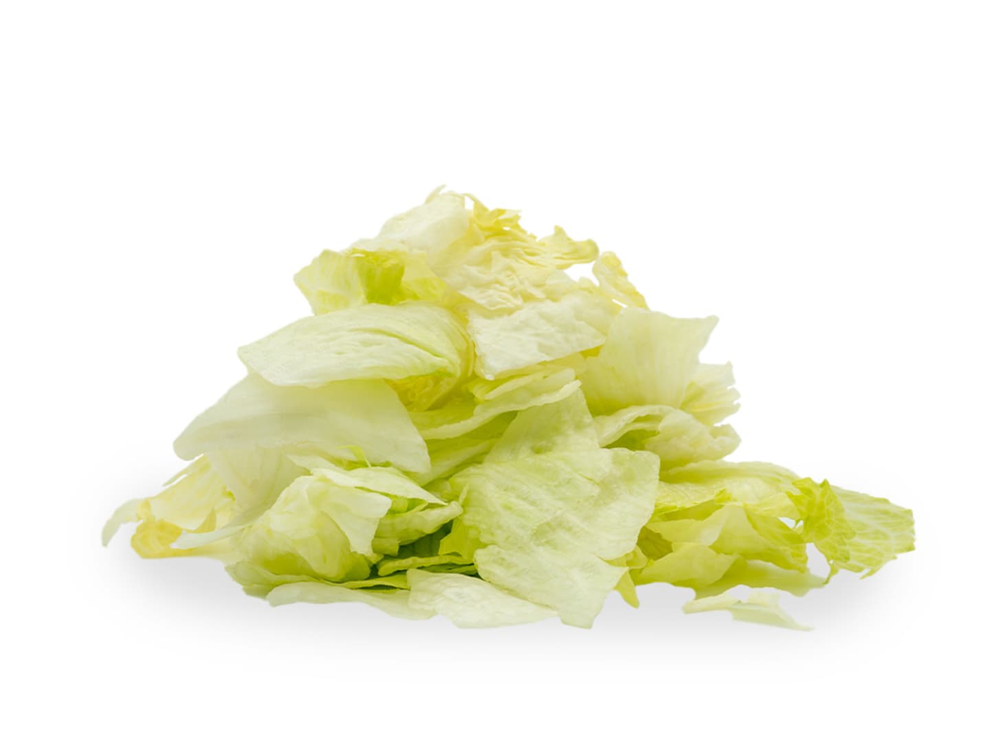 Isbergsallad hela blad 48mm 2kg