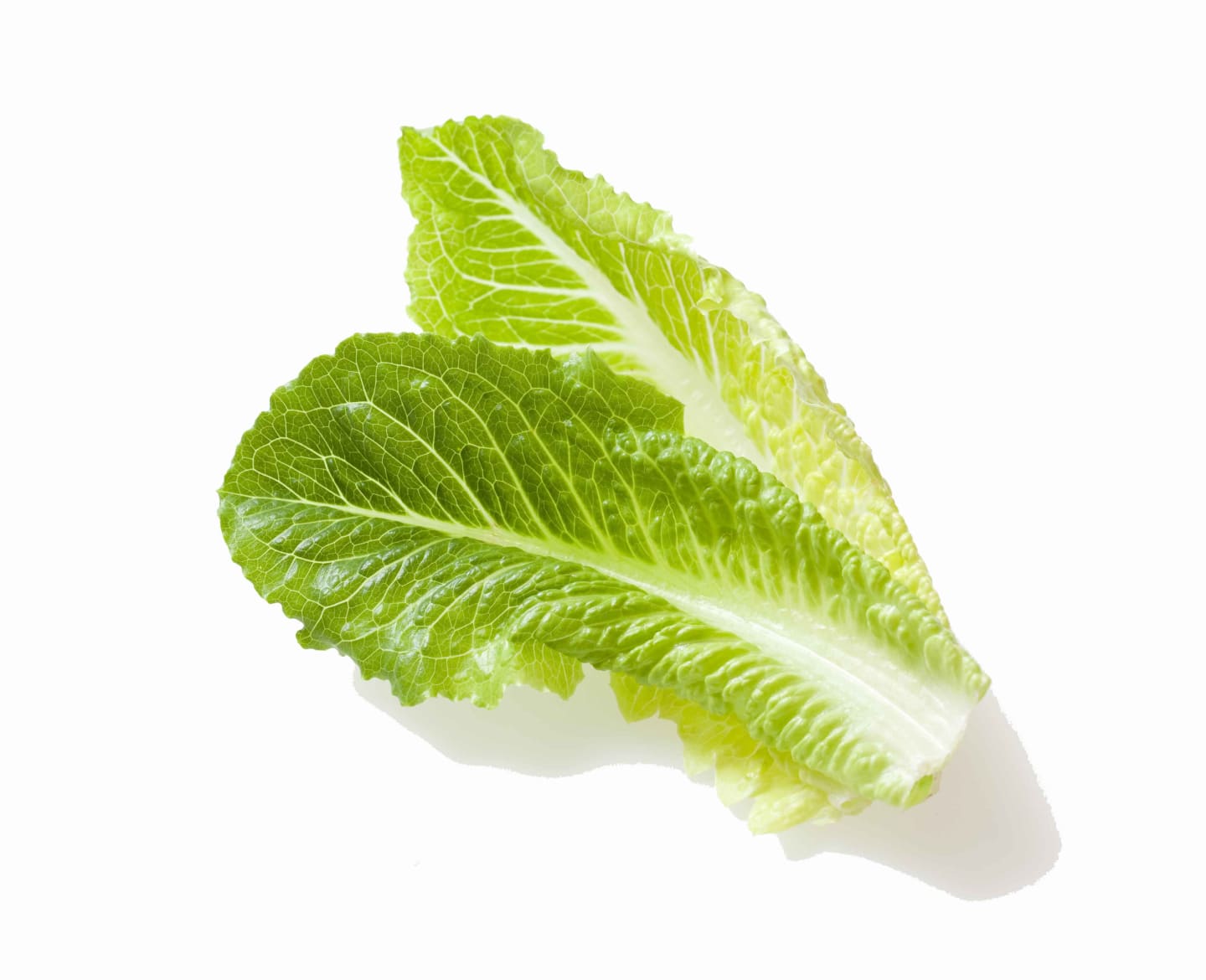 Romansallad hela blad 2kg