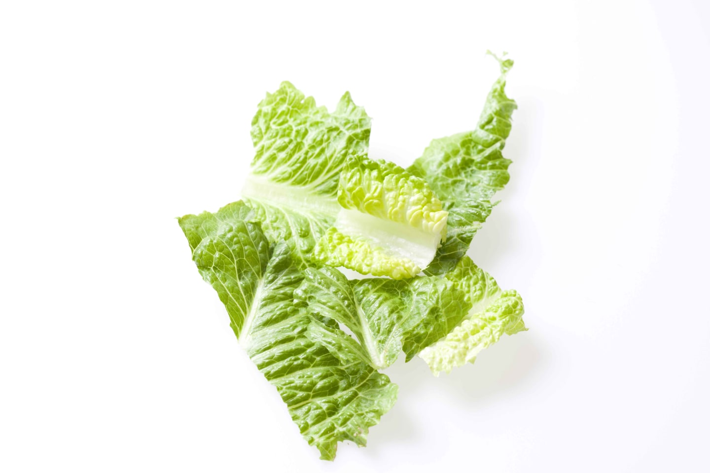 Romansallad 48mm 500g