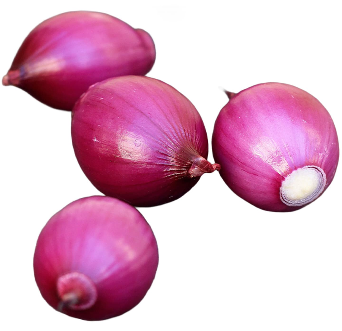 Steklök röd skalad 1kg