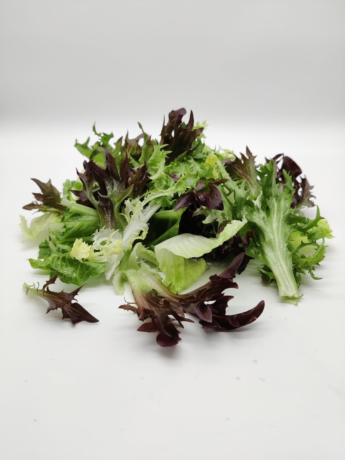 Sallad Brasserie 500g