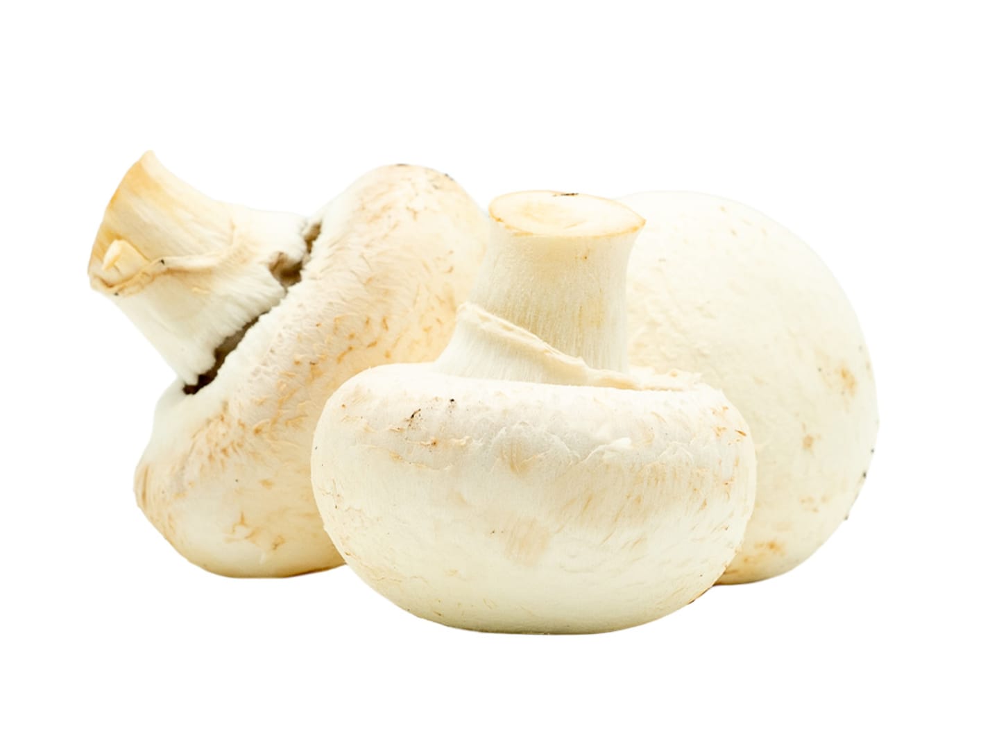 Champinjon fine 3kg