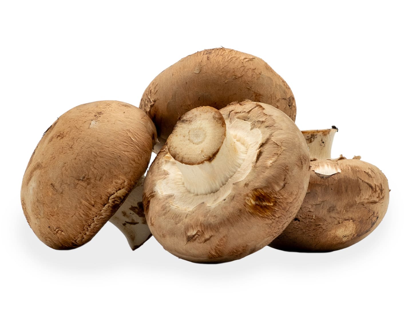 Skogschampinjon 3kg