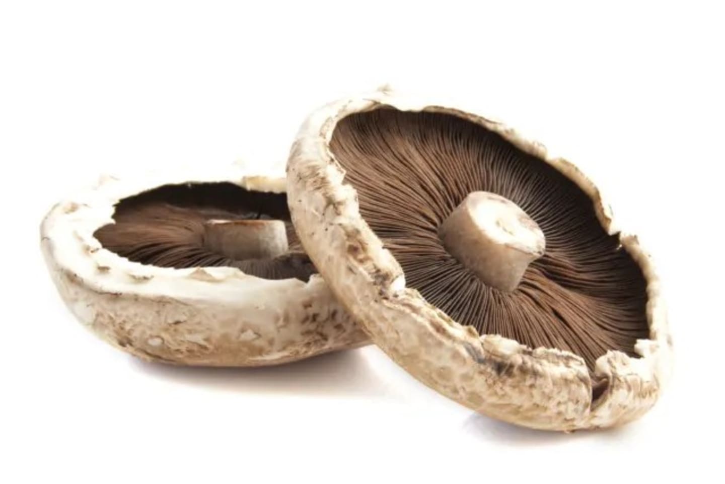 Portabella 1-2kg
