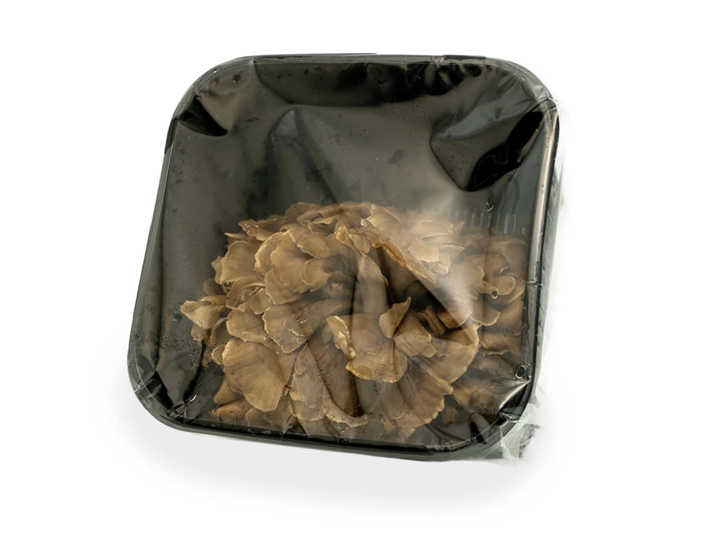 Svamp Maitake 150g
