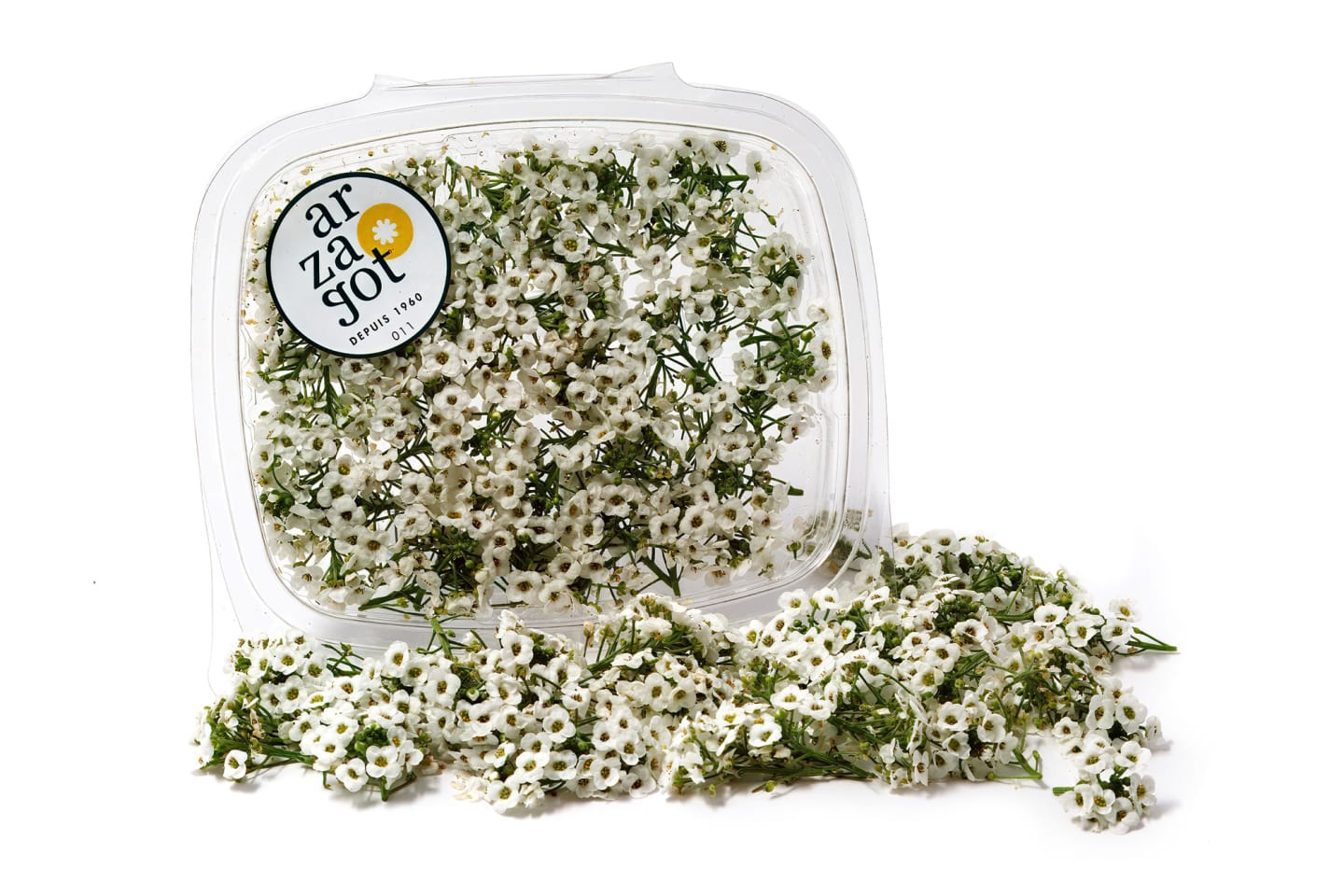 Strandkrassing ätlig blomma vit 50g