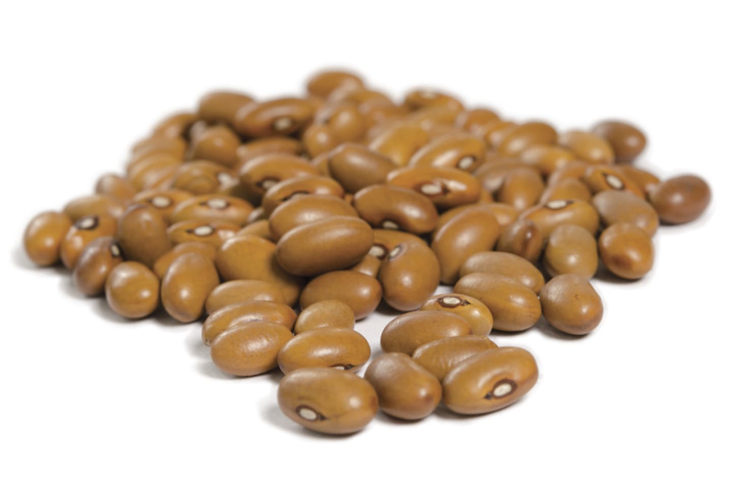 Brunabönor torkade EKO 10kg