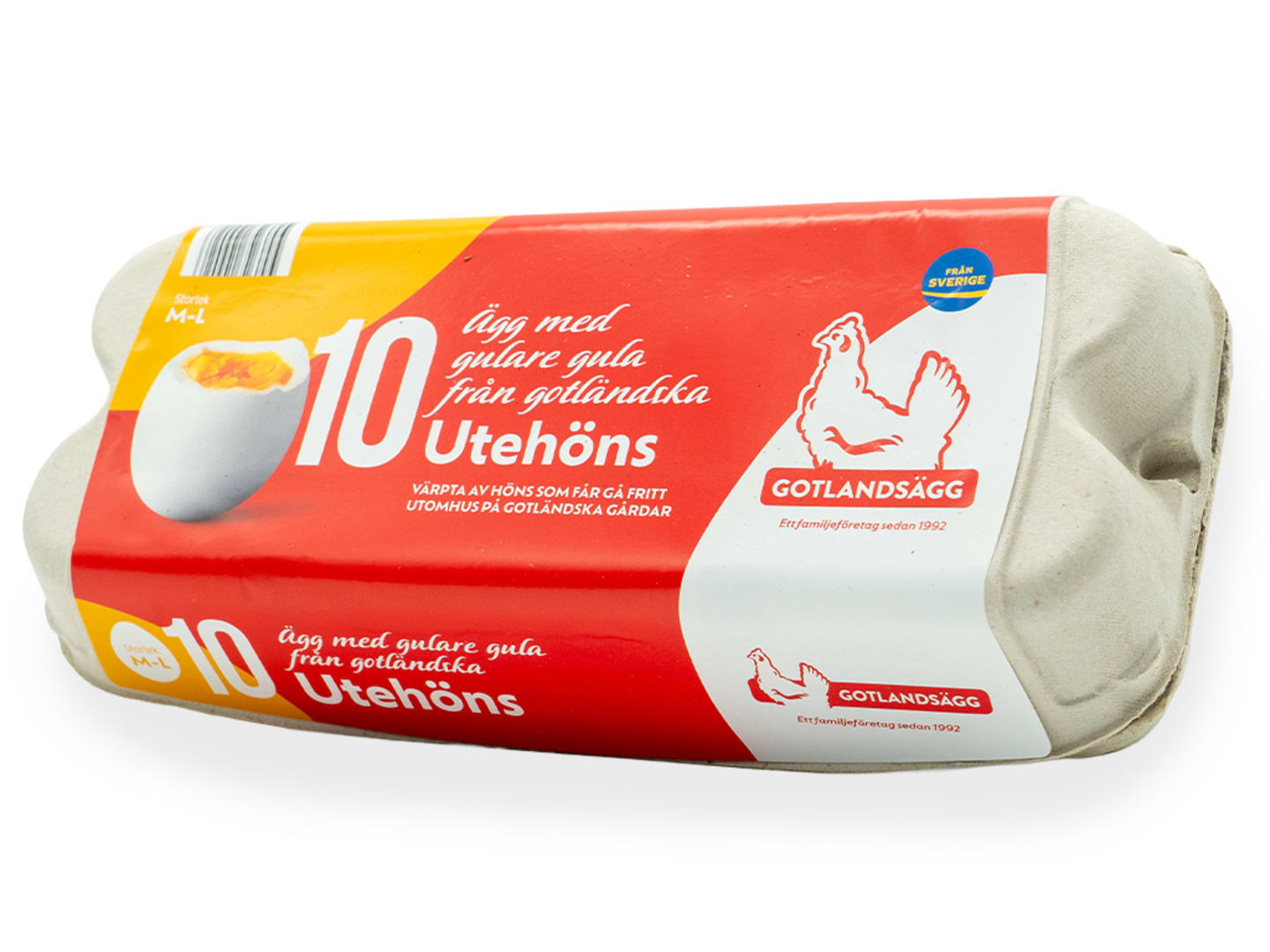 Ägg frigående ute 10-pack