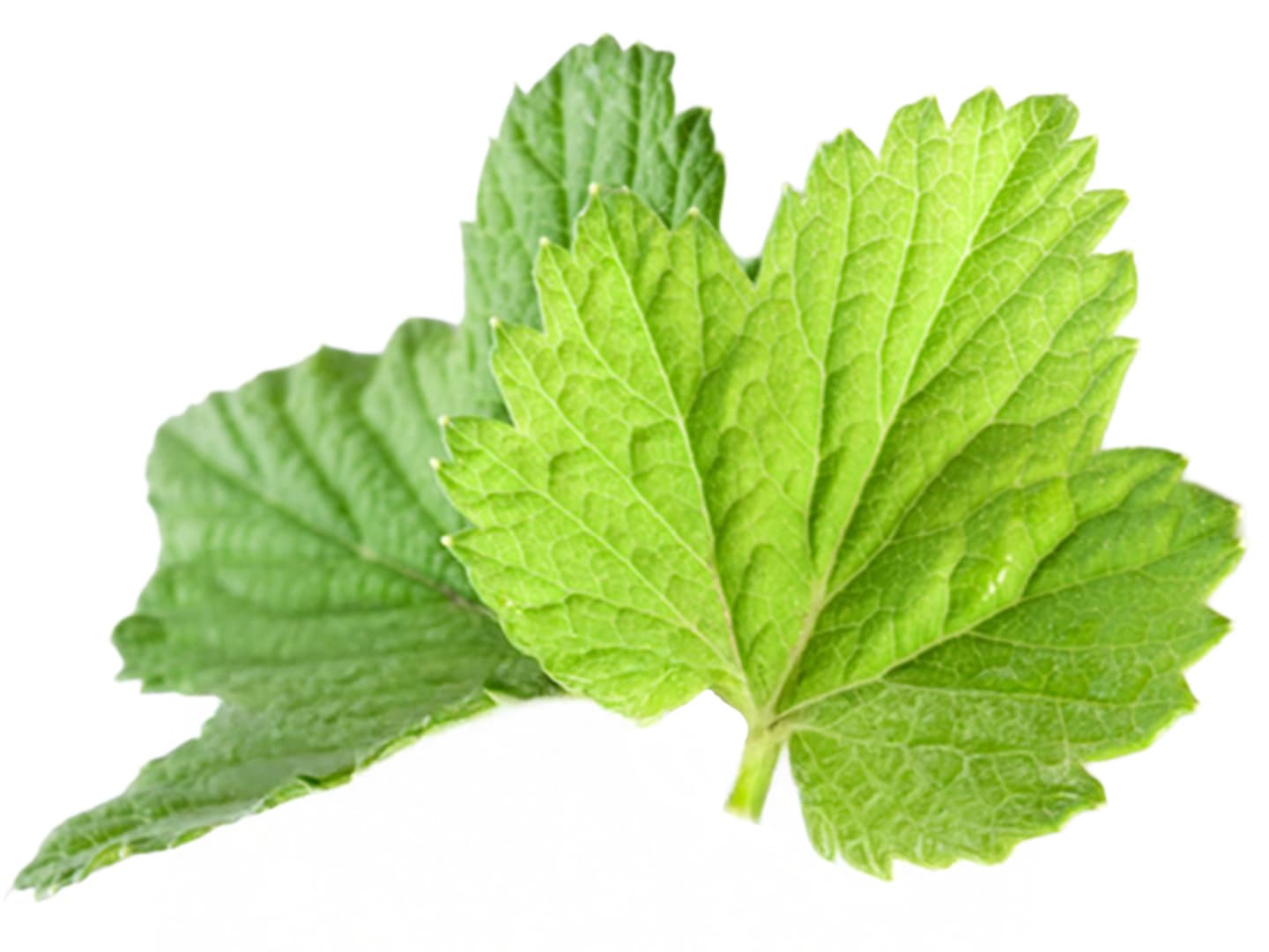 Svartavinbärsblad 250g DF