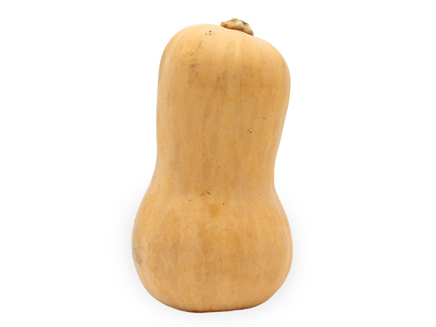 Pumpa Butternut EKO 10kg