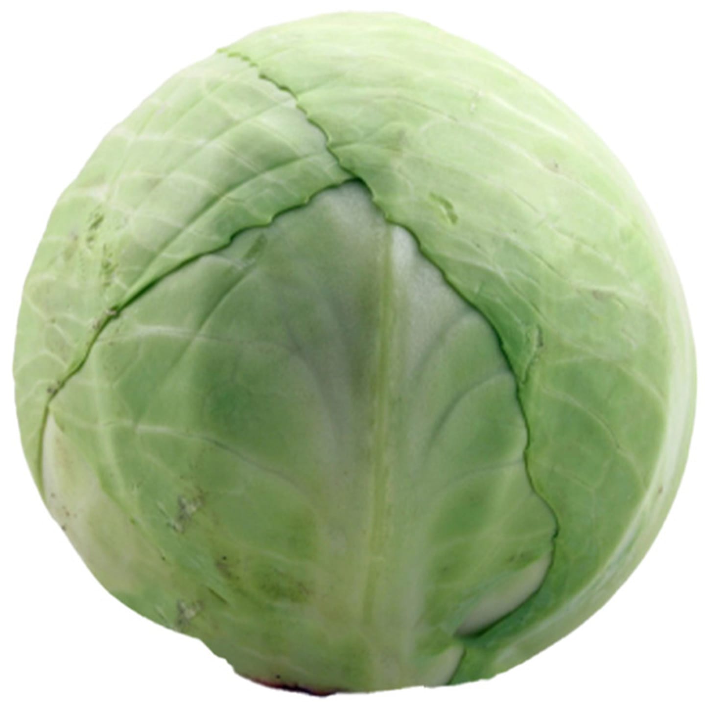 Vitkål EKO 10kg