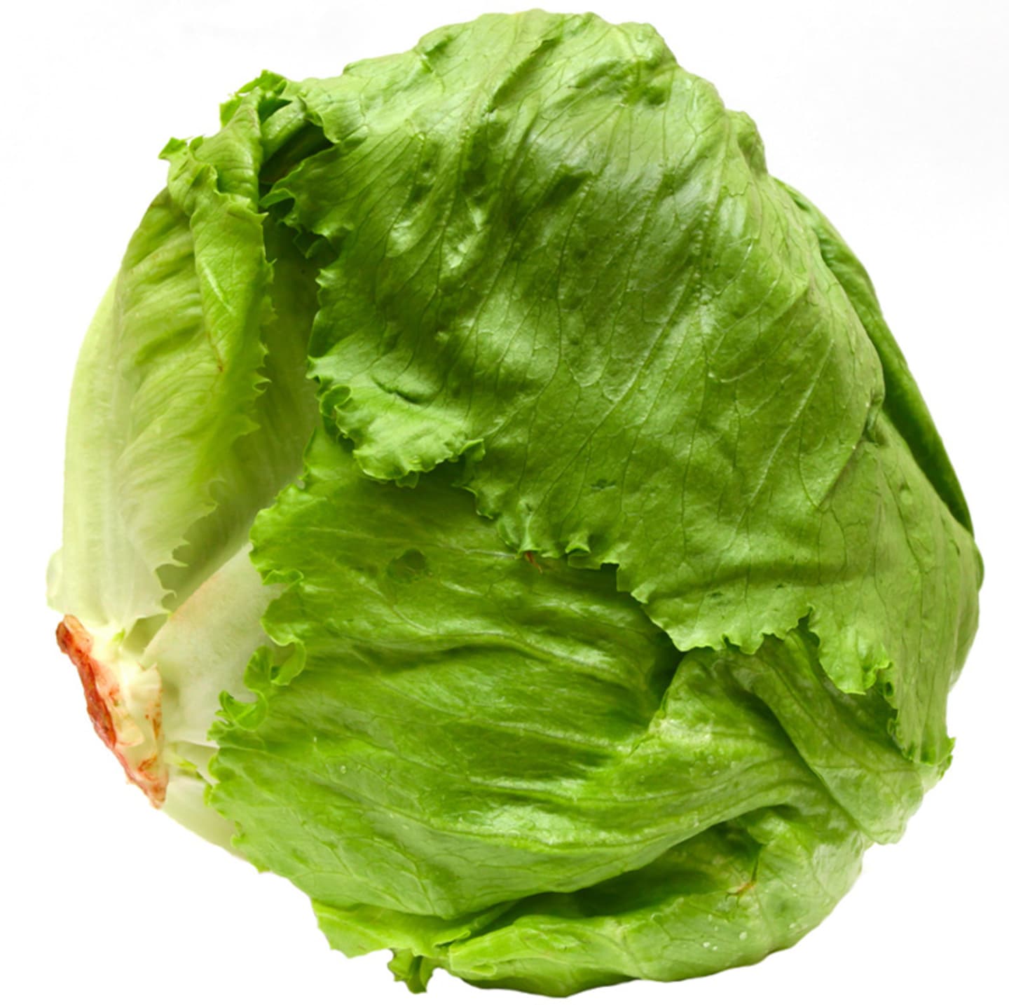 Isbergssallad EKO 10-12st