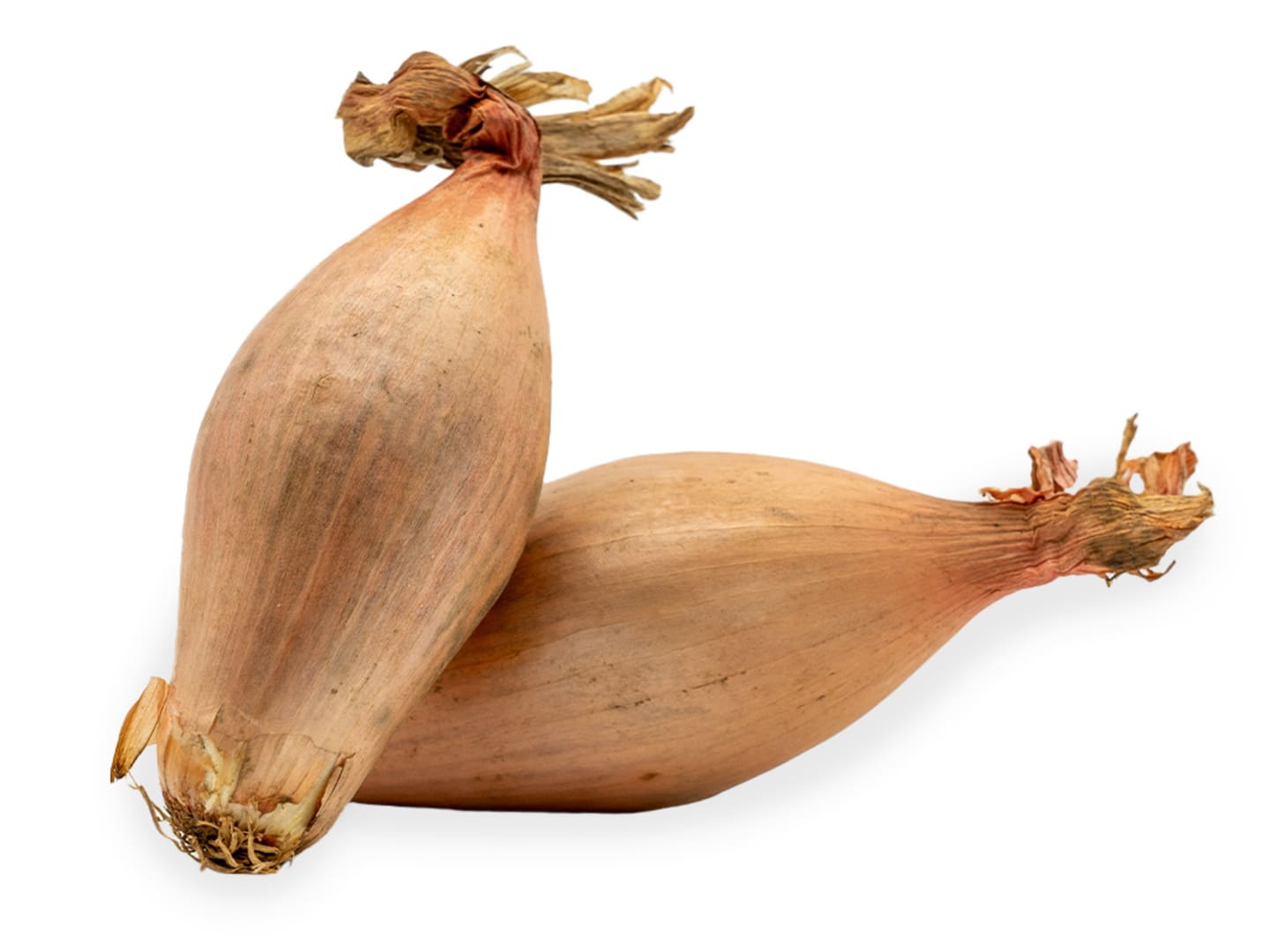 Bananschalottenlök EKO 5kg