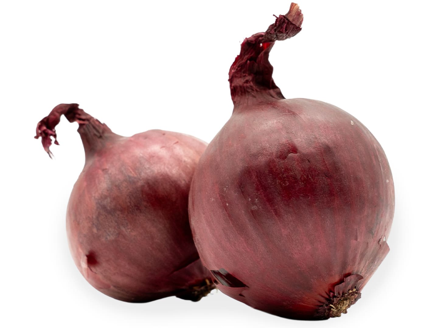 Rödlök EKO 10-12kg SE