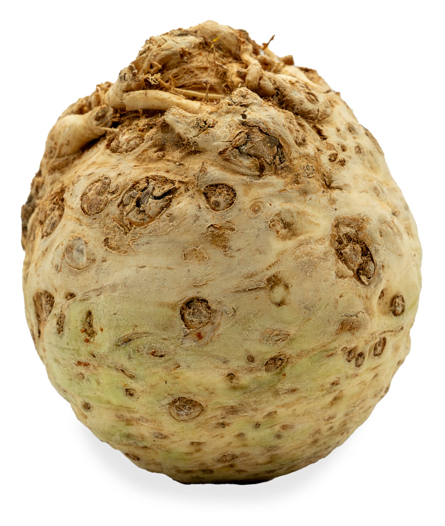 Rotselleri EKO 10kg